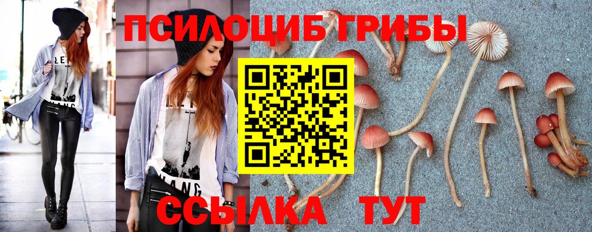 Нижнекамск  Псилоцибиновые грибы Psilocybe  Вход с VPN  Псилоцибиновые грибы Psilocybe 