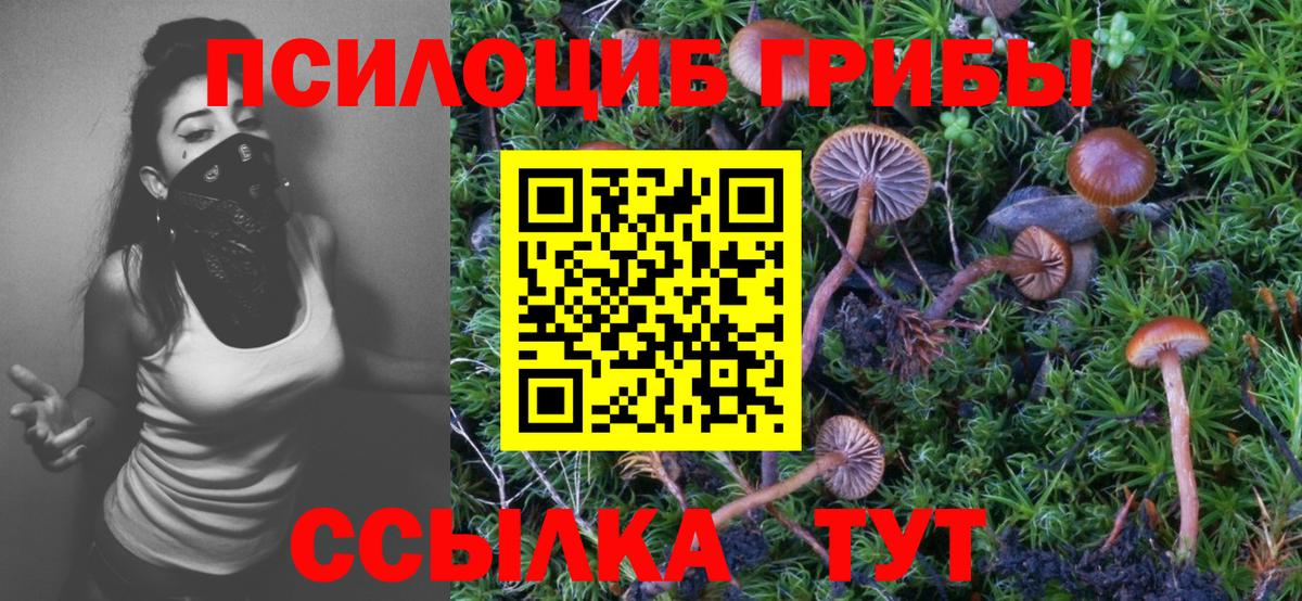 Галлюциногенные грибы Psilocybe Нижнекамск